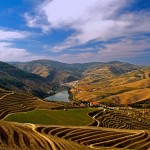 Alto-Douro1